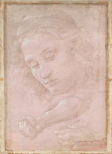 Şapkalı Bir Genç Başkanın; Elin Taşı Tuttuğu Sağ Ön Kol; ve Perdeyi Tutan Sol El by Sandro Botticelli