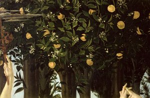 Primavera, Portakal Ağacı detayı, panelde c.1478 tempera by Sandro Botticelli