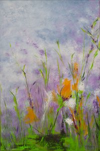  by Sandy Iseli