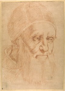 Papa II. Julius, Raphael