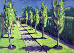 Avenue (kart üzerinde akrilik) by Sara Hayward