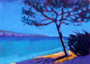 Çam ağaçları by Sara Hayward