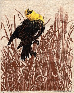  by Sarah Drummond
