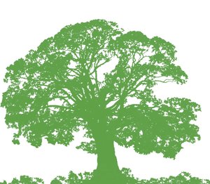 Tırmanma Ağacı, 2009 (dijital) by Sarah Hough