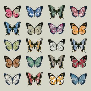 Papillon, 2008 (dijital)
