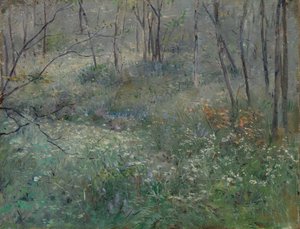 Yabani Maydanoz, 1900. by Sarah Paxton Ball Dodson