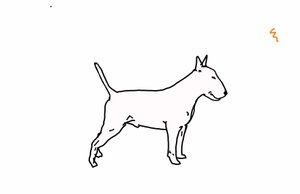 Bull terrier,2018,(dijital çizim) by Sarah Thompson Engels