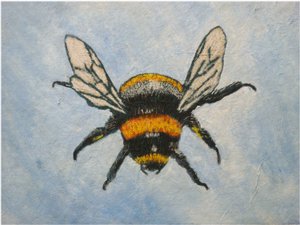 Bumblebee, 2015 (pasteller ve sulu boyalar) by Sarah Thompson Engels