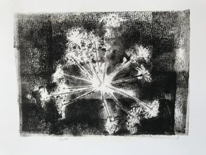Seedhead II,2020,(tek baskı) by Sarah Thompson Engels