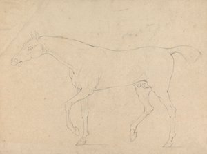 Bir at by Sawrey Gilpin
