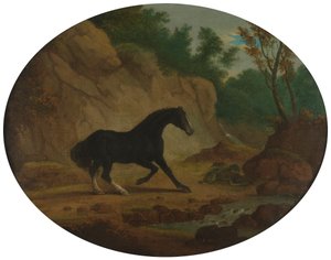 Yılandan Korkan At