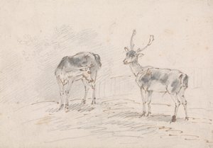 Doe ve Buck by Sawrey Gilpin