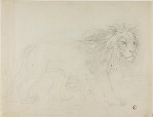 Aslan by Sawrey Gilpin