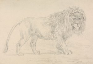 Aslan Yürüyüşü by Sawrey Gilpin