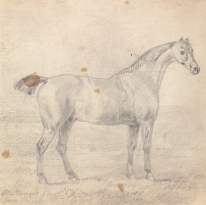 Bay Plumer'ın Atı by Sawrey Gilpin