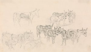 Eşek Çalışmaları by Sawrey Gilpin