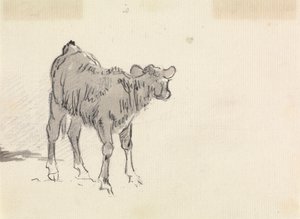Buzağı Çalışması by Sawrey Gilpin