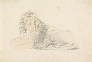 Aslan Çalışması by Sawrey Gilpin