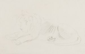 Aslan çalışması by Sawrey Gilpin