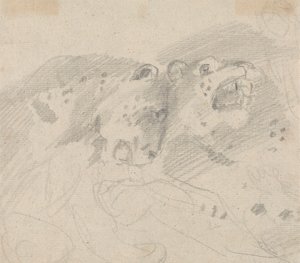 iki leopar by Sawrey Gilpin