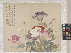  by School Chinese