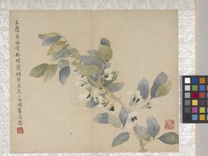  by School Chinese