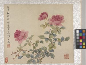 by School Chinese
