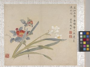 by School Chinese
