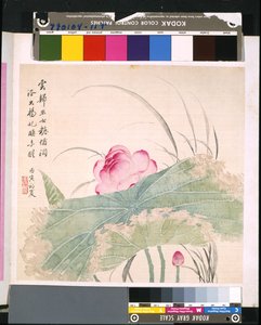  by School Chinese