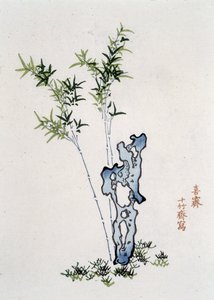 Çin Manzarası: Kaya ve Bambu - Çince baskı, sd. by School Chinese