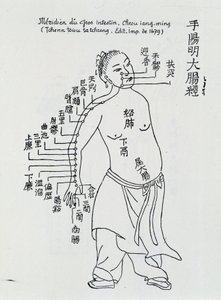 Çin akupunkturu: kalın bağırsak by School Chinese
