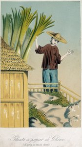 Çin kağıt fabrikası (renkli taş) by School Chinese