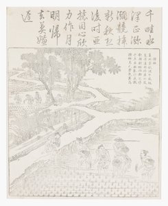 Pirinç ekimi by School Chinese