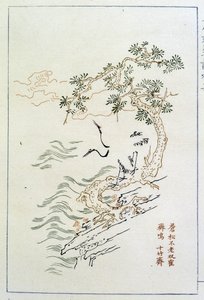 Nehir - Çince baskı, sd. by School Chinese