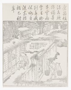 Pirinç saklamak by School Chinese