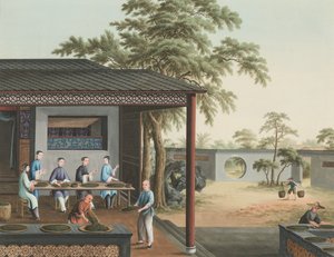  by School Chinese