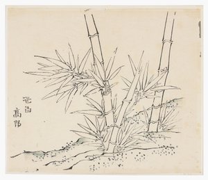 On Bambu Serisi by School Chinese