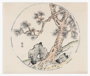 On Bambu Serisi by School Chinese