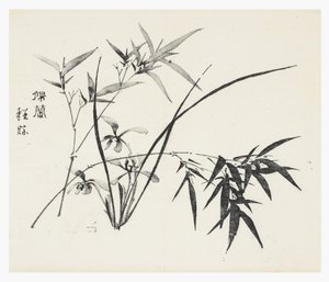 On Bambu Serisi by School Chinese