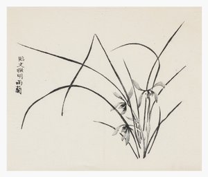 On Bambu Serisi by School Chinese