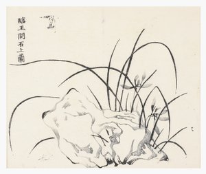 On Bambu Serisi by School Chinese