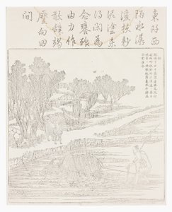 Kuru havalarda çeltik ekimi by School Chinese