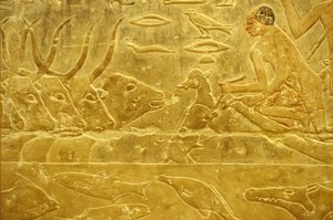  by School Egyptian
