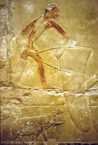  by School Egyptian