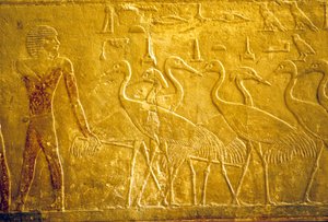  by School Egyptian