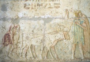  by School Egyptian