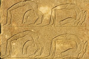  by School Egyptian