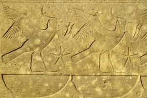  by School Egyptian