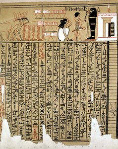 Mısır Hiyeroglifleri by School Egyptian