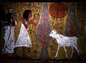  by School Egyptian